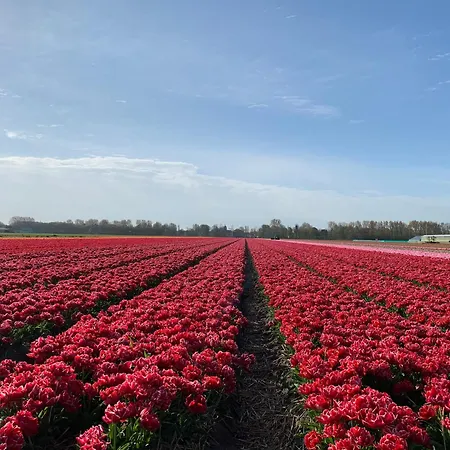 Lägenhet Het Oude Raadhuis