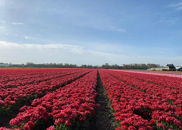 Apartment Het Oude Raadhuis